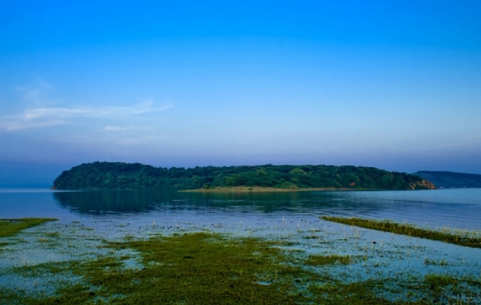 鄱陽(yáng)湖生態(tài)經(jīng)濟(jì)區(qū)規(guī)劃展示館升級(jí)...